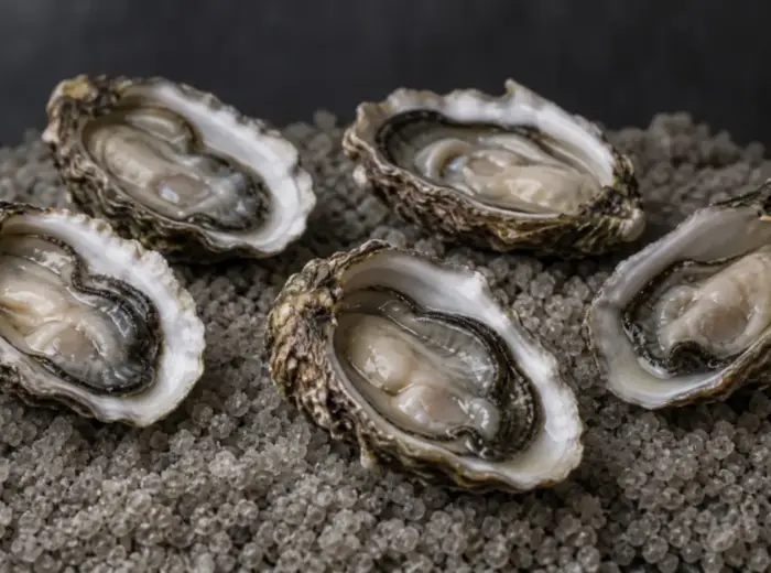 Cinq huîtres fraîches ouvertes dans leur coquille, posées sur un lit de gros sel gris, sur fond sombre